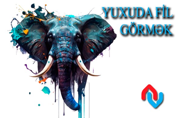Yuxuda Fil Görmək