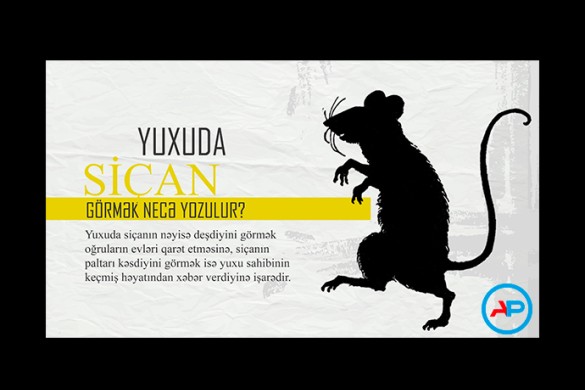 Yuxuda siçan görmək necə yozulur?