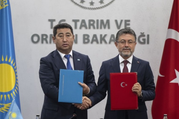 Türk dövlətləri sığorta birliyi qurula bilər
